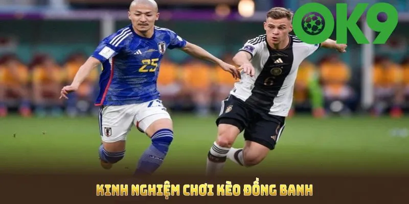 Kinh nghiệm khi tham gia kèo đồng 